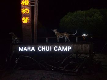 Mara Chui Camp 호텔 Ololaimutiek 외부 사진